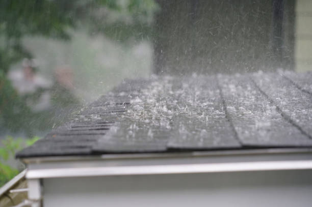 Best Roof Insulation Installation  in Emma, NC