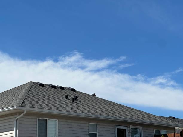 Best Roof Moss and Algae Removal  in Emma, NC